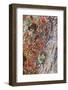 Large naturally polished rock with lichen, Lower Deschutes River, Central Oregon, USA-Stuart Westmorland-Framed Photographic Print