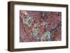 Large naturally polished rock with lichen, Lower Deschutes River, Central Oregon, USA-Stuart Westmorland-Framed Photographic Print