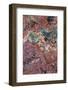 Large, naturally polished rock with lichen. Lower Deschutes River, Central Oregon, USA-Stuart Westmorland-Framed Photographic Print