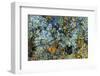 Large naturally polished rock with lichen, Lower Deschutes River, Central Oregon, USA-Stuart Westmorland-Framed Photographic Print