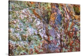 Large, naturally polished rock with lichen. Lower Deschutes River, Central Oregon, USA-Stuart Westmorland-Stretched Canvas