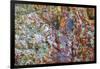 Large, naturally polished rock with lichen. Lower Deschutes River, Central Oregon, USA-Stuart Westmorland-Framed Photographic Print