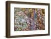 Large, naturally polished rock with lichen. Lower Deschutes River, Central Oregon, USA-Stuart Westmorland-Framed Photographic Print