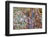 Large, naturally polished rock with lichen. Lower Deschutes River, Central Oregon, USA-Stuart Westmorland-Framed Photographic Print