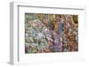 Large, naturally polished rock with lichen. Lower Deschutes River, Central Oregon, USA-Stuart Westmorland-Framed Photographic Print