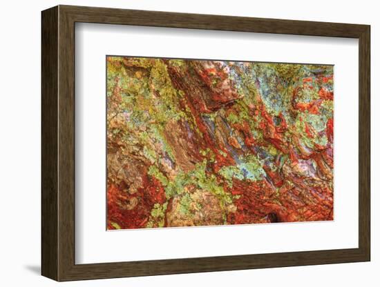 Large naturally polished rock with lichen, Lower Deschutes River, Central Oregon, USA-Stuart Westmorland-Framed Photographic Print