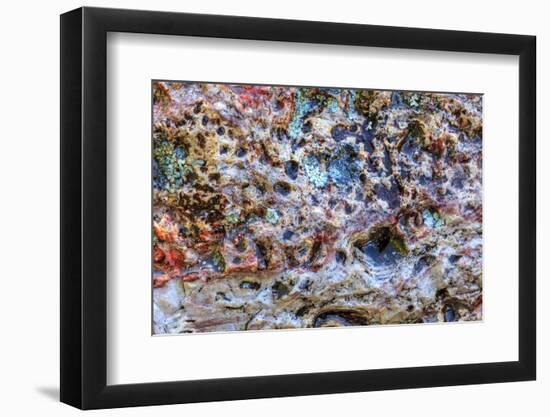 Large naturally polished rock with lichen, Lower Deschutes River, Central Oregon, USA-Stuart Westmorland-Framed Photographic Print