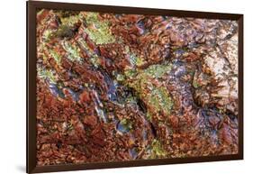 Large naturally polished rock with lichen, Lower Deschutes River, Central Oregon, USA-Stuart Westmorland-Framed Photographic Print