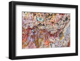 Large, naturally polished rock with lichen. Lower Deschutes River, Central Oregon, USA-Stuart Westmorland-Framed Photographic Print