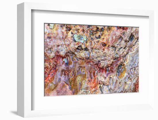 Large, naturally polished rock with lichen. Lower Deschutes River, Central Oregon, USA-Stuart Westmorland-Framed Photographic Print