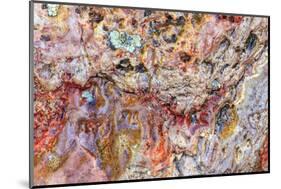 Large, naturally polished rock with lichen. Lower Deschutes River, Central Oregon, USA-Stuart Westmorland-Mounted Photographic Print