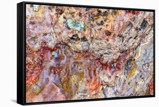 Large, naturally polished rock with lichen. Lower Deschutes River, Central Oregon, USA-Stuart Westmorland-Framed Stretched Canvas