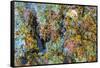 Large naturally polished rock with lichen, Lower Deschutes River, Central Oregon, USA-Stuart Westmorland-Framed Stretched Canvas