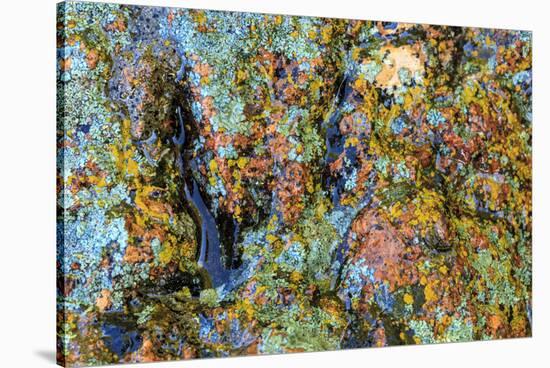 Large naturally polished rock with lichen, Lower Deschutes River, Central Oregon, USA-Stuart Westmorland-Stretched Canvas