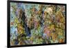 Large naturally polished rock with lichen, Lower Deschutes River, Central Oregon, USA-Stuart Westmorland-Framed Photographic Print