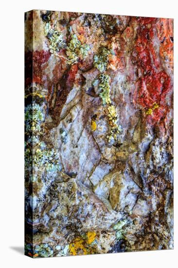 Large naturally polished rock with lichen, Lower Deschutes River, Central Oregon, USA-Stuart Westmorland-Stretched Canvas