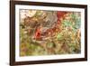 Large naturally polished rock with lichen, Lower Deschutes River, Central Oregon, USA-Stuart Westmorland-Framed Photographic Print