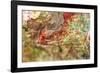 Large naturally polished rock with lichen, Lower Deschutes River, Central Oregon, USA-Stuart Westmorland-Framed Photographic Print