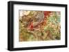 Large naturally polished rock with lichen, Lower Deschutes River, Central Oregon, USA-Stuart Westmorland-Framed Photographic Print