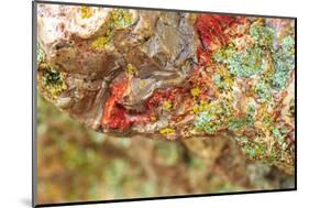Large naturally polished rock with lichen, Lower Deschutes River, Central Oregon, USA-Stuart Westmorland-Mounted Photographic Print