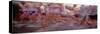 Large number of athletes during marathon race-Panoramic Images-Stretched Canvas