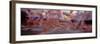 Large number of athletes during marathon race-Panoramic Images-Framed Photographic Print
