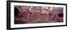 Large number of athletes during marathon race-Panoramic Images-Framed Photographic Print