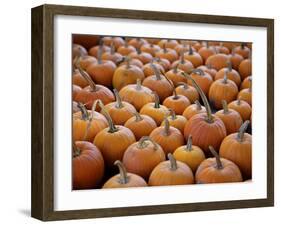 Large Number of Pumpkins for Sale on a Farm in St. Joseph, Missouri, USA, North America-Simon Montgomery-Framed Photographic Print