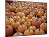 Large Number of Pumpkins for Sale on a Farm in St. Joseph, Missouri, USA, North America-Simon Montgomery-Mounted Photographic Print