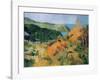 Large Panoramic View I-Boscoe Holder-Framed Premium Giclee Print