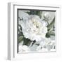 Large Peonies II-Eva Watts-Framed Art Print