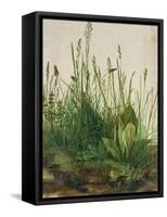 Large Piece of Turf, 1503-Albrecht Dürer-Framed Stretched Canvas