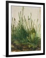 Large Piece of Turf, 1503-Albrecht Dürer-Framed Giclee Print