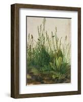 Large Piece of Turf, 1503-Albrecht Dürer-Framed Giclee Print