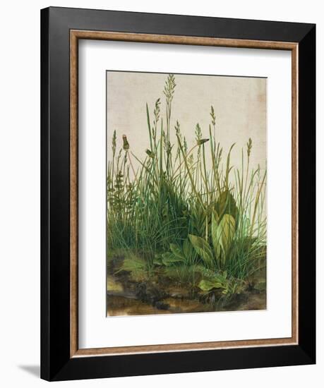 Large Piece of Turf, 1503-Albrecht Dürer-Framed Giclee Print