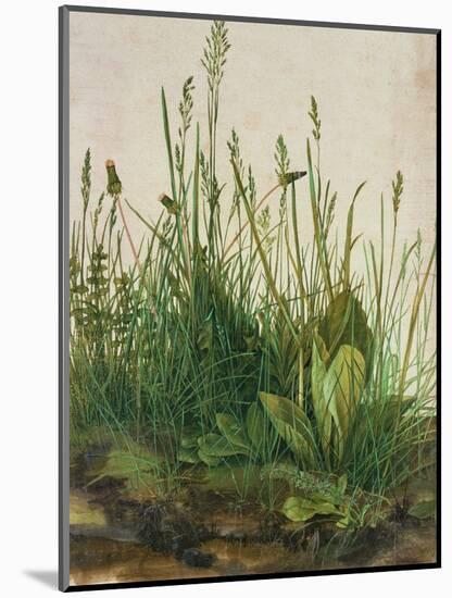 Large Piece of Turf, 1503-Albrecht Dürer-Mounted Giclee Print