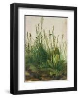 Large Piece of Turf, 1503-Albrecht Dürer-Framed Premium Giclee Print