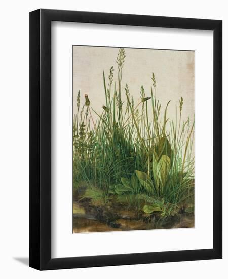 Large Piece of Turf, 1503-Albrecht Dürer-Framed Premium Giclee Print