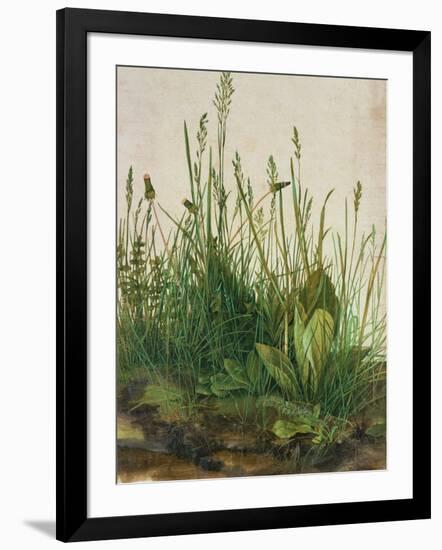 Large Piece of Turf, 1503-Albrecht Dürer-Framed Giclee Print