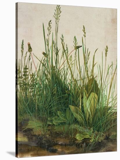 Large Piece of Turf, 1503-Albrecht Dürer-Stretched Canvas