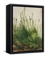 Large Piece of Turf, 1503-Albrecht Dürer-Framed Stretched Canvas