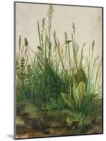 Large Piece of Turf, 1503-Albrecht Dürer-Mounted Giclee Print