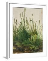 Large Piece of Turf, 1503-Albrecht Dürer-Framed Giclee Print