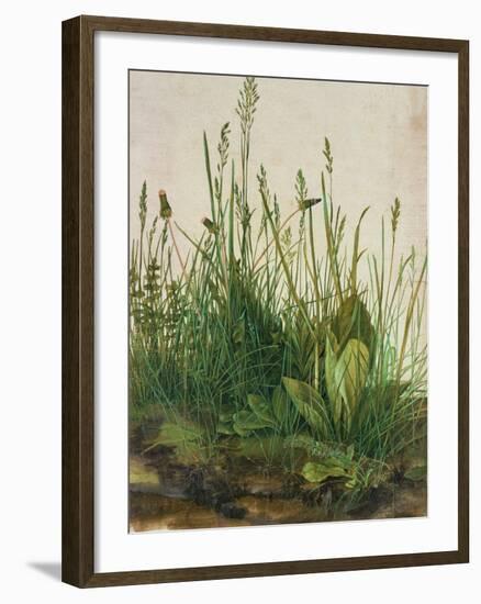 Large Piece of Turf, 1503-Albrecht Dürer-Framed Giclee Print