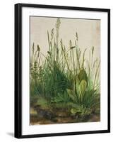 Large Piece of Turf, 1503-Albrecht Dürer-Framed Giclee Print