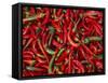 Large Pile of Red and Green Chillies-Bruno Morandi-Framed Stretched Canvas