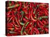 Large Pile of Red and Green Chillies-Bruno Morandi-Stretched Canvas