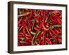 Large Pile of Red and Green Chillies-Bruno Morandi-Framed Photographic Print