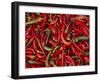 Large Pile of Red and Green Chillies-Bruno Morandi-Framed Photographic Print