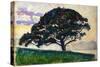 Large Pine, Saint-Tropez, 1892-1893-Paul Signac-Stretched Canvas